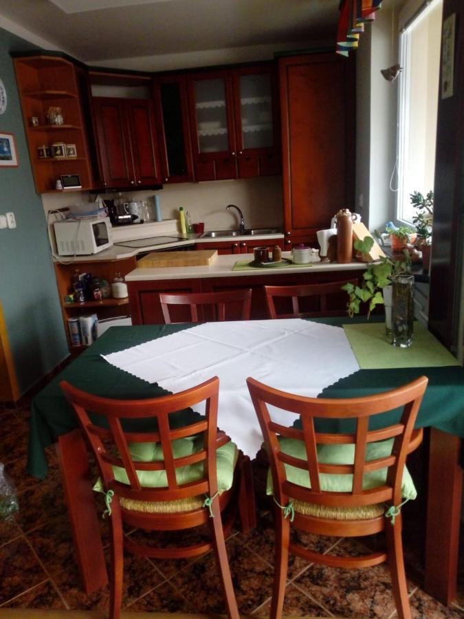 Apartman Na Slunecni Strani 特鲁特诺夫 外观 照片